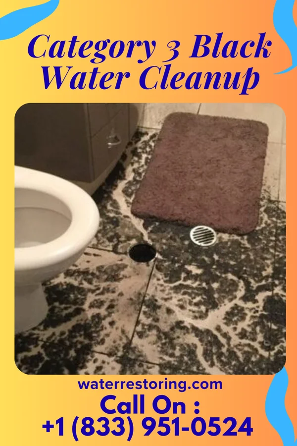 Category 3 Black Water Cleanup in Chula Vista, TX