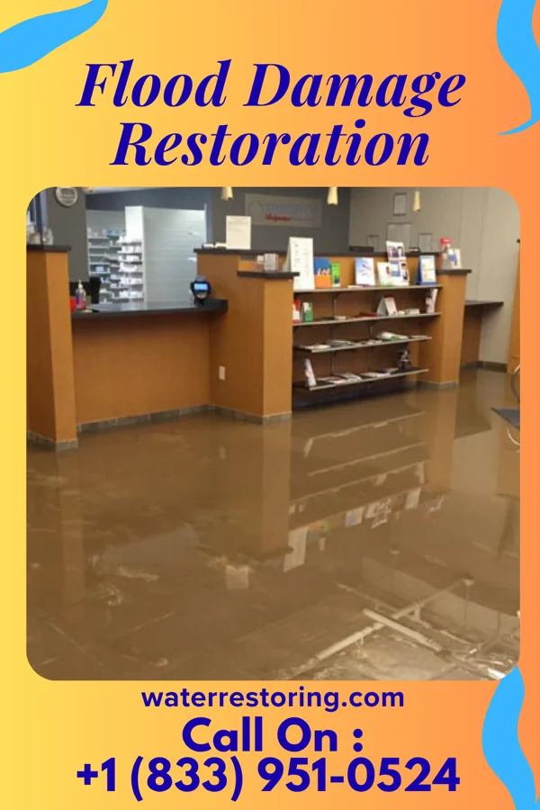 Flood Damage Restoration in Chula Vista, TX