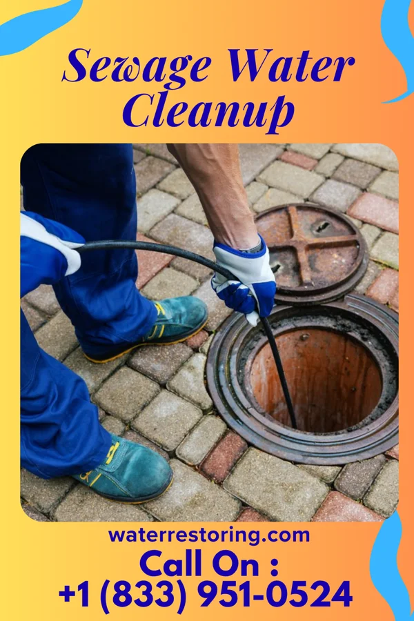 Sewage Water Cleanup in Chula Vista, TX